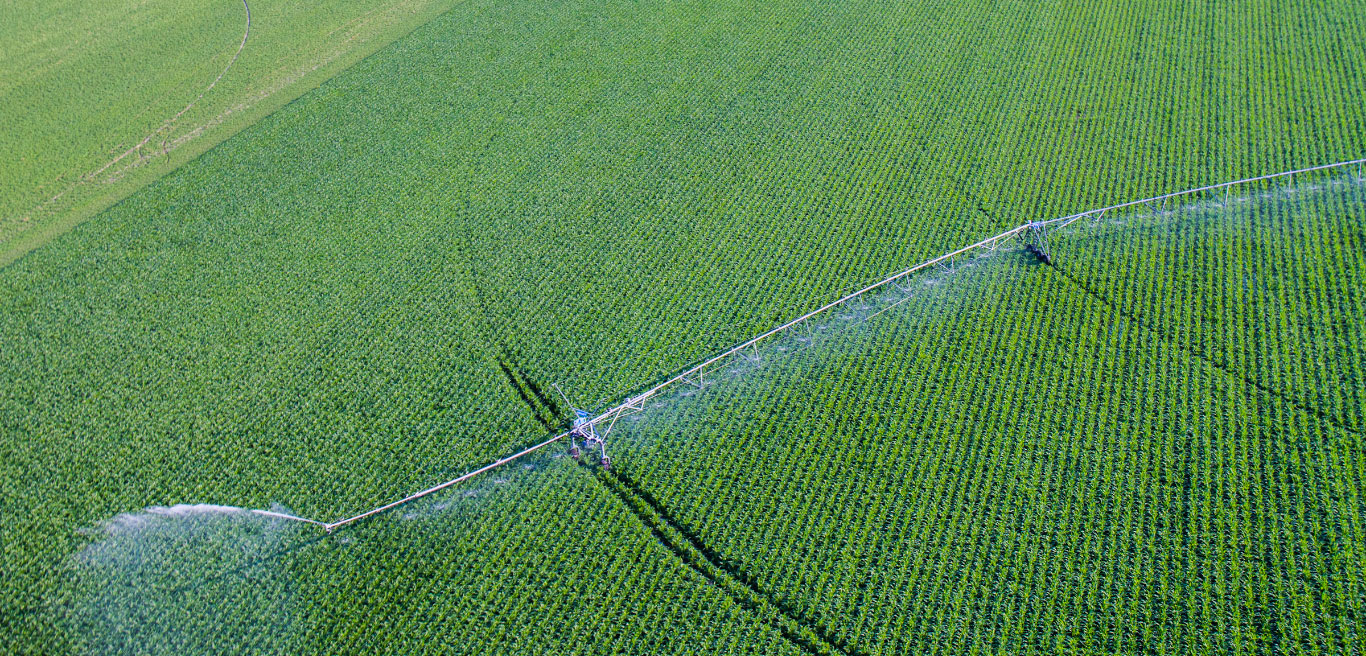 Apple Irrigation Center Pivot Irrigation in Minnesota and Wisconsin